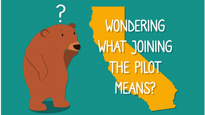 2024 Pilot - Wondering what joining the pilot means?